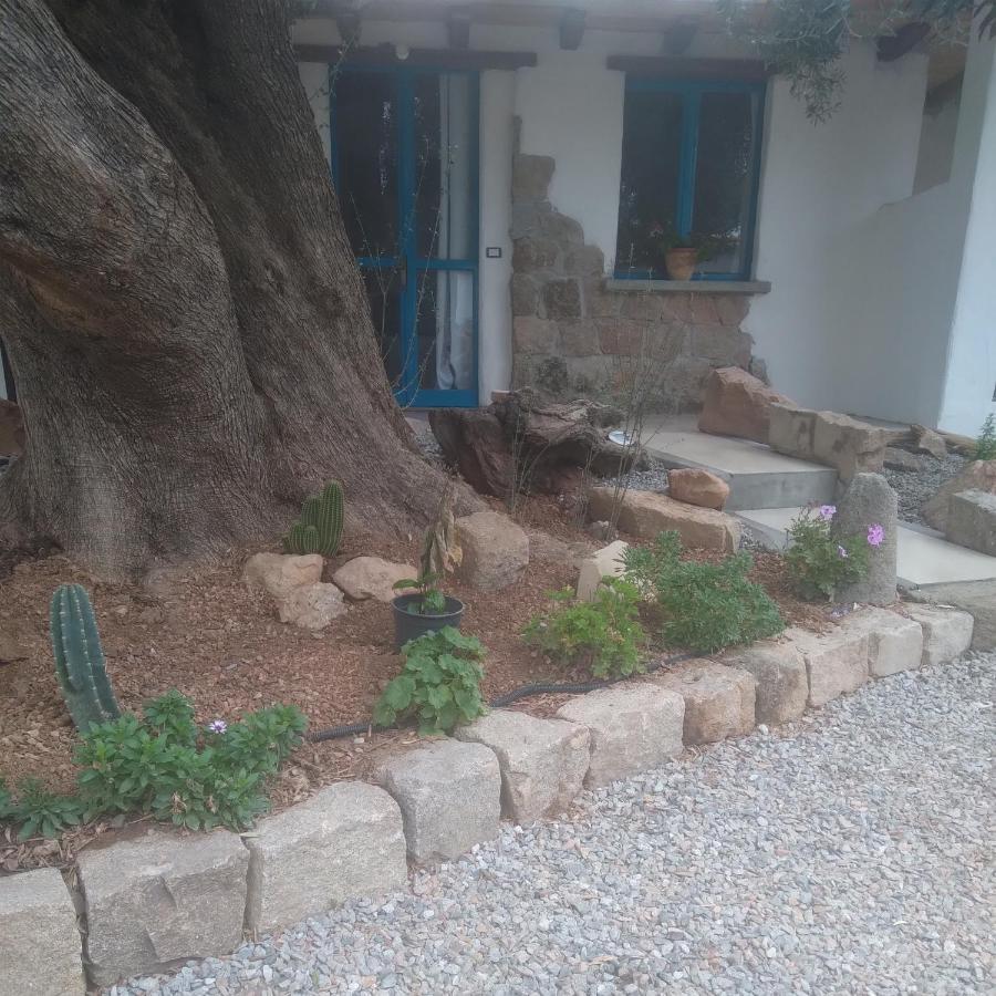 예르추 Sole In Ogliastra B&B 외부 사진
