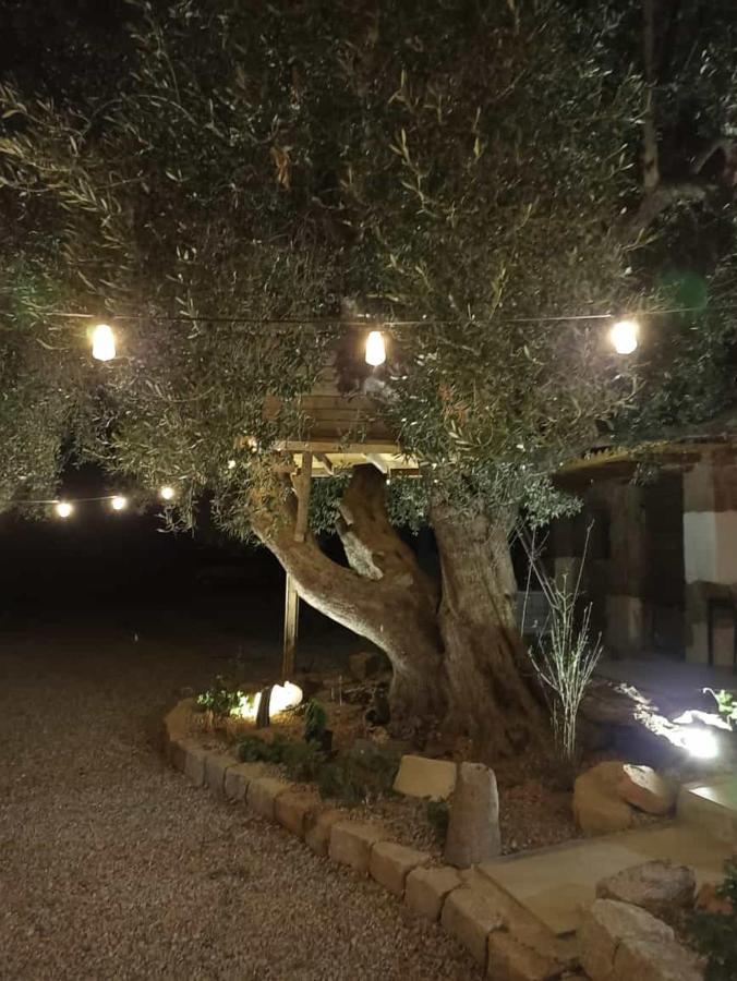 예르추 Sole In Ogliastra B&B 외부 사진