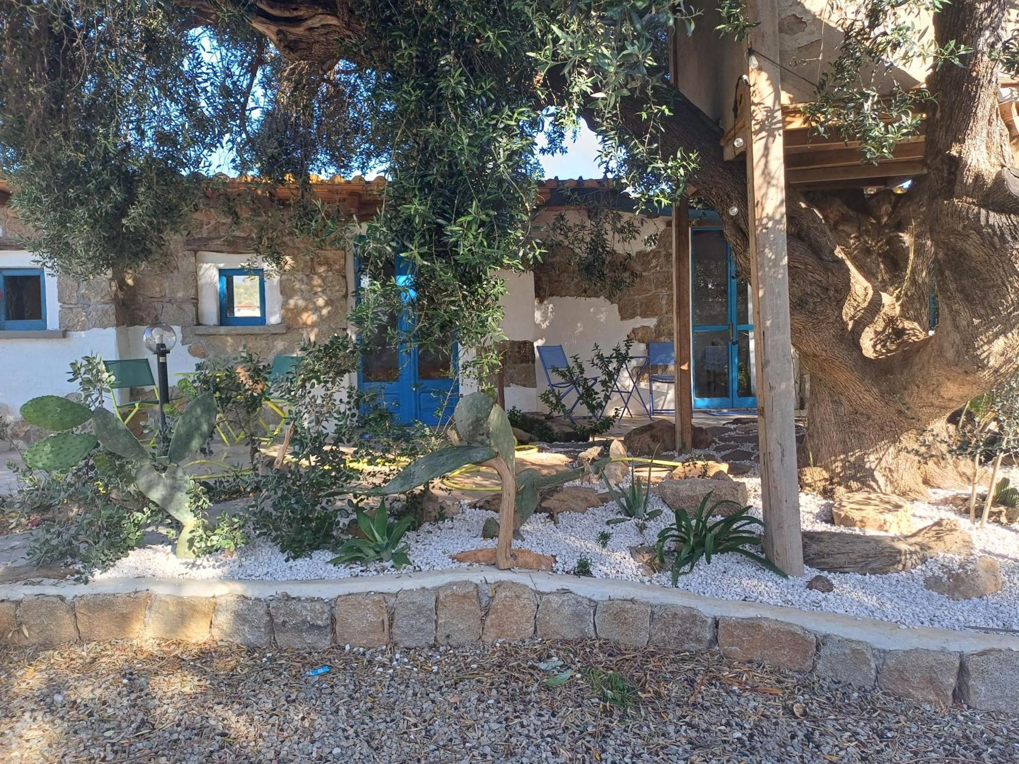 예르추 Sole In Ogliastra B&B 객실 사진